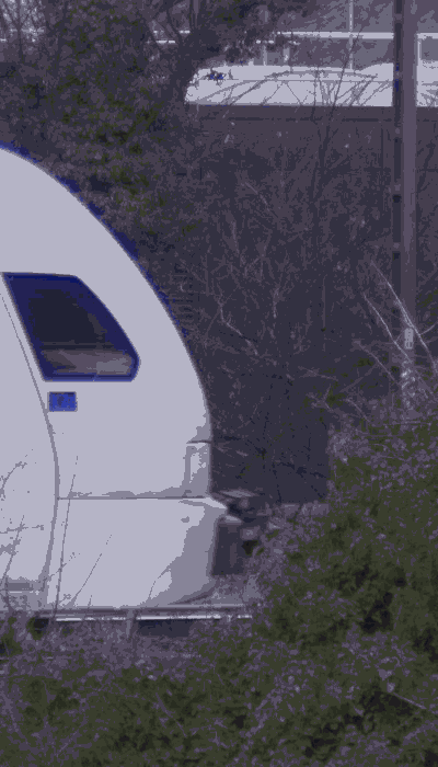 There should be a train video here :'(