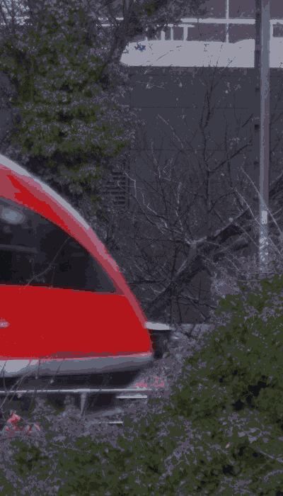 There should be a train video here :'(