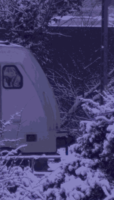 There should be a train video here :'(