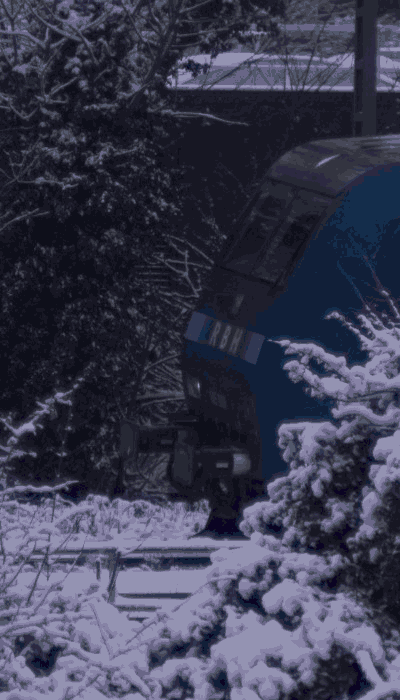 There should be a train video here :'(