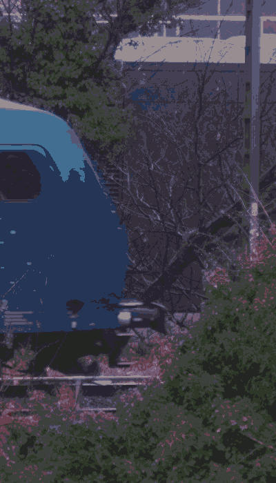 There should be a train video here :'(