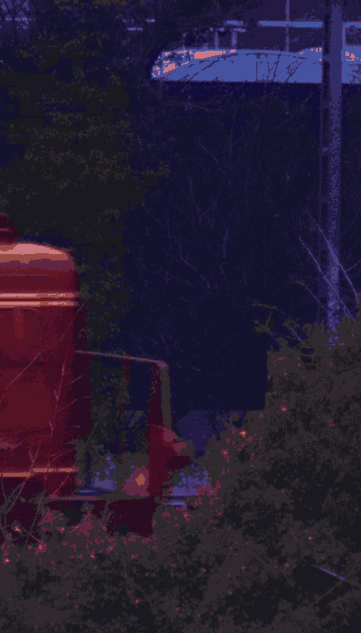 There should be a train video here :'(