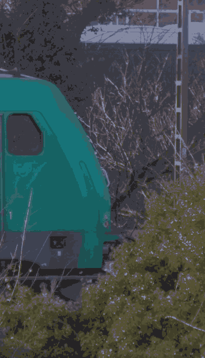 There should be a train video here :'(