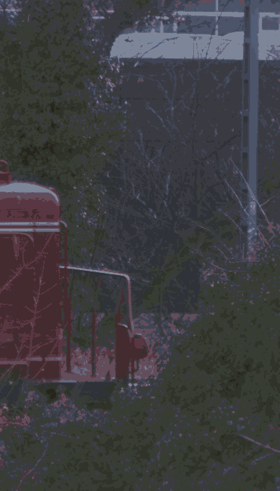 There should be a train video here :'(