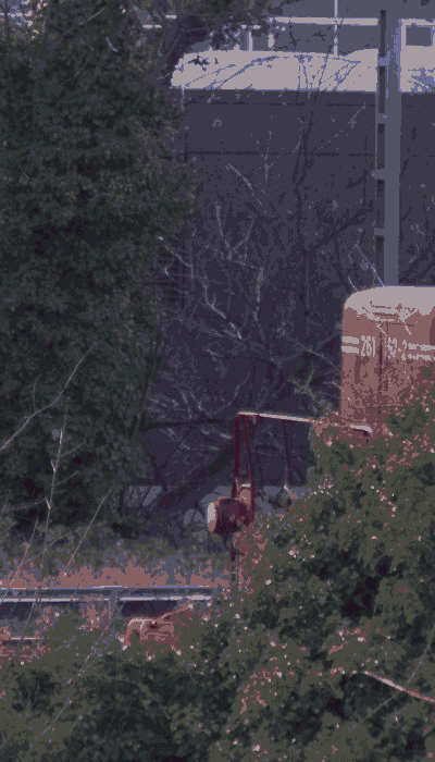 There should be a train video here :'(