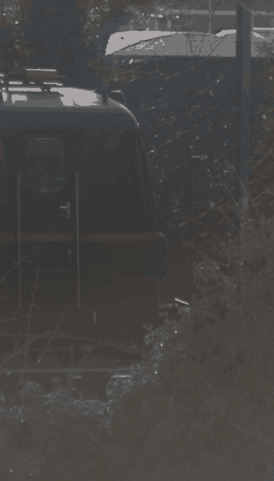 There should be a train video here :'(