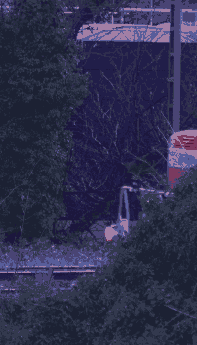 There should be a train video here :'(