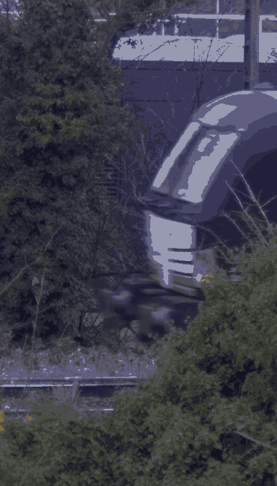 There should be a train video here :'(