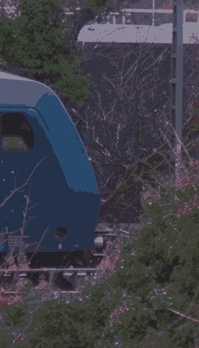 There should be a train video here :'(