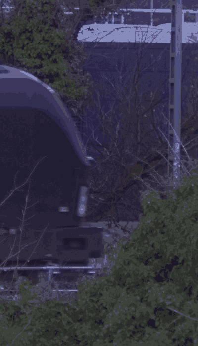 There should be a train video here :'(