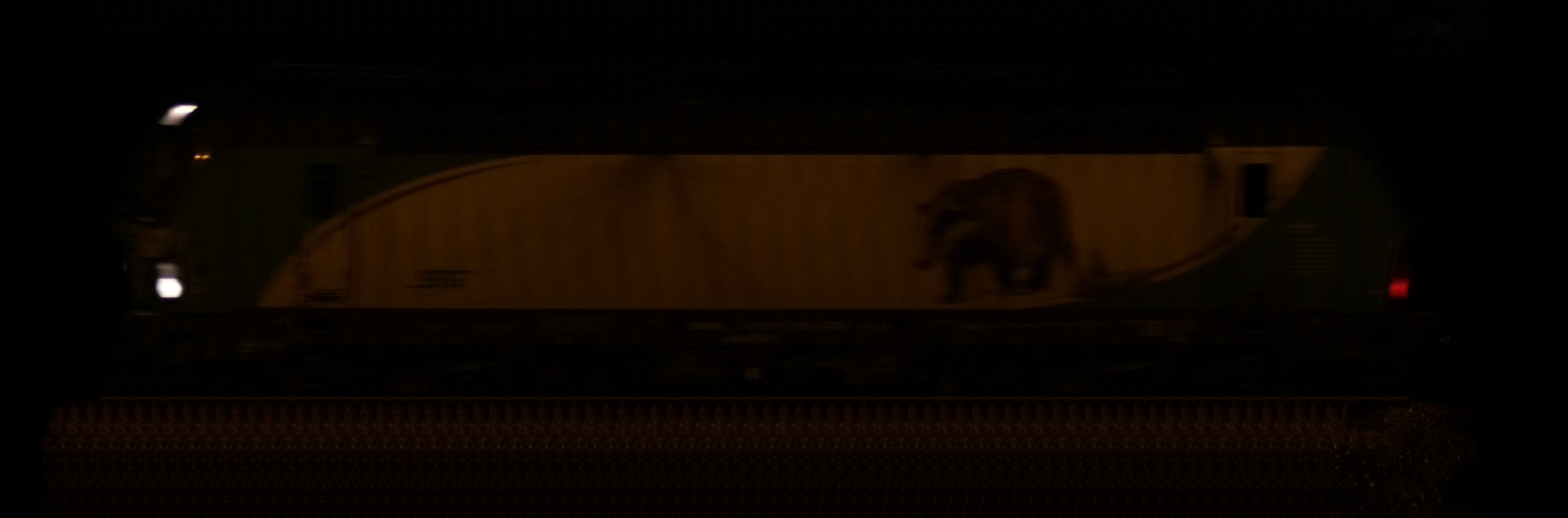 There should be a train photo here :'(