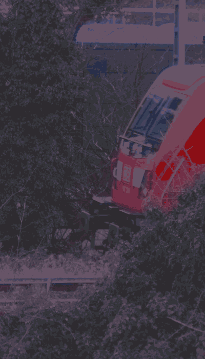 There should be a train video here :'(