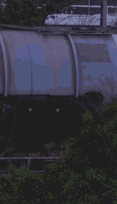 There should be a train video here :'(