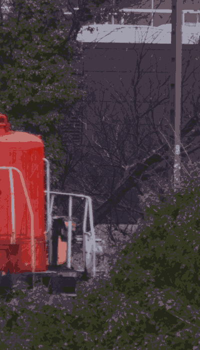 There should be a train video here :'(