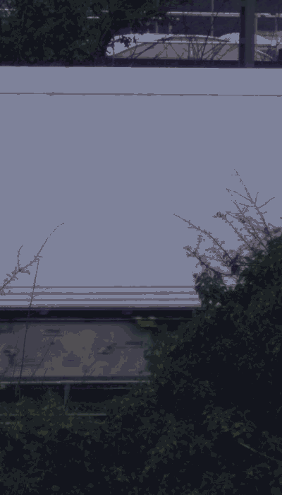 There should be a train video here :'(