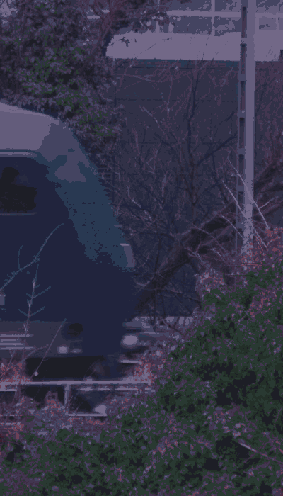 There should be a train video here :'(