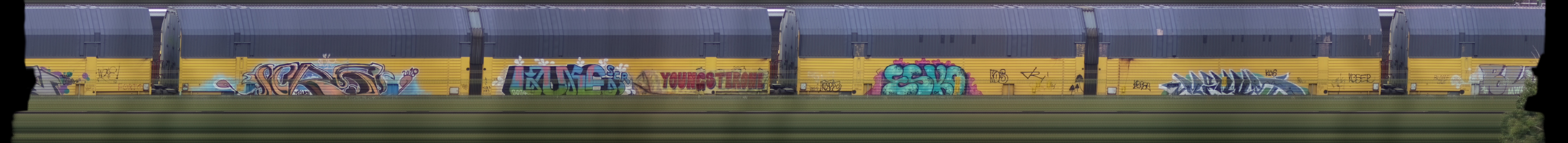 There should be a train photo here :'(