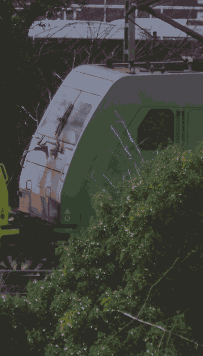 There should be a train video here :'(