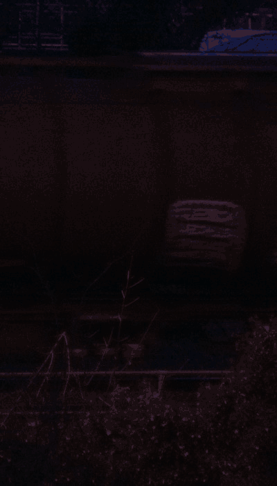 There should be a train video here :'(