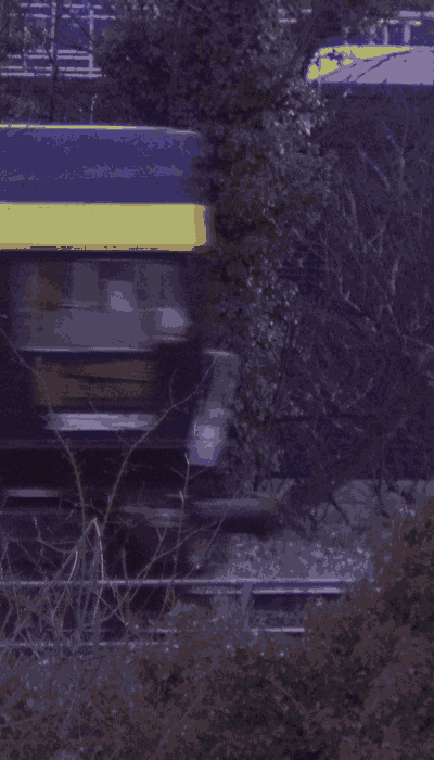 There should be a train video here :'(