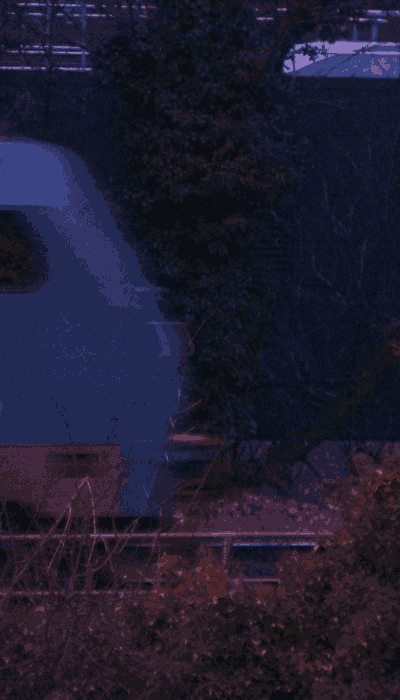 There should be a train video here :'(