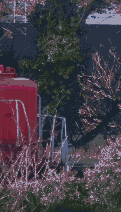 There should be a train video here :'(