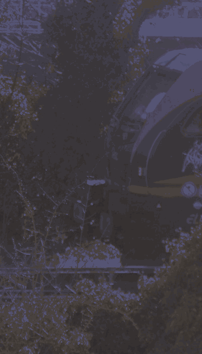 There should be a train video here :'(