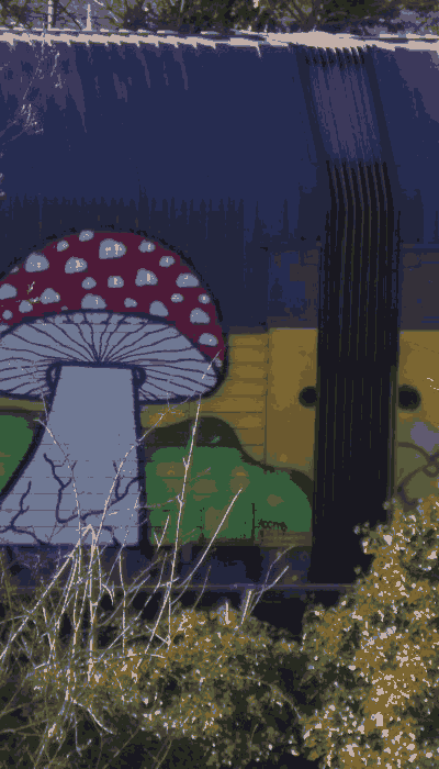 There should be a train video here :'(