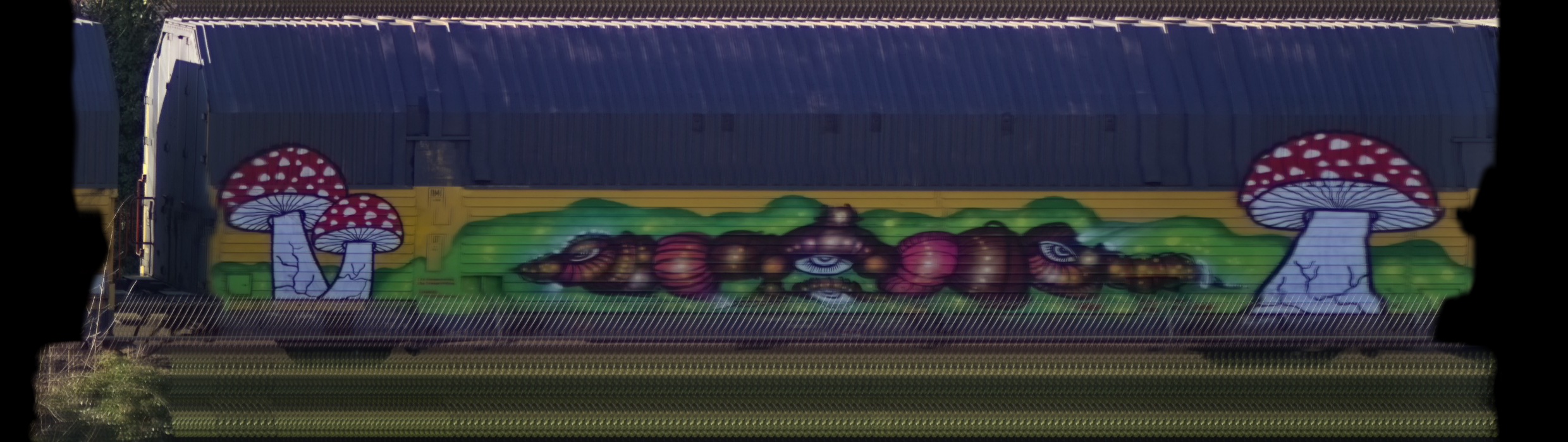 There should be a train photo here :'(