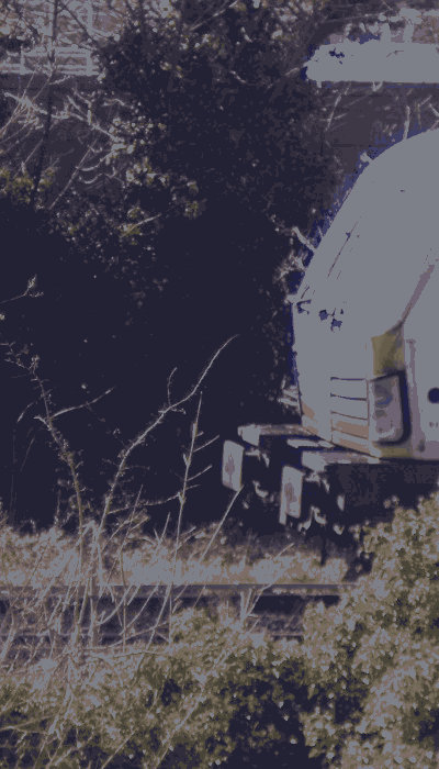 There should be a train video here :'(