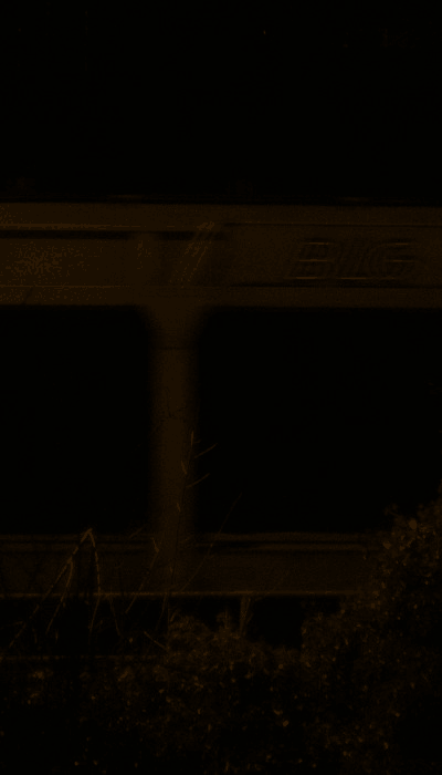 There should be a train video here :'(