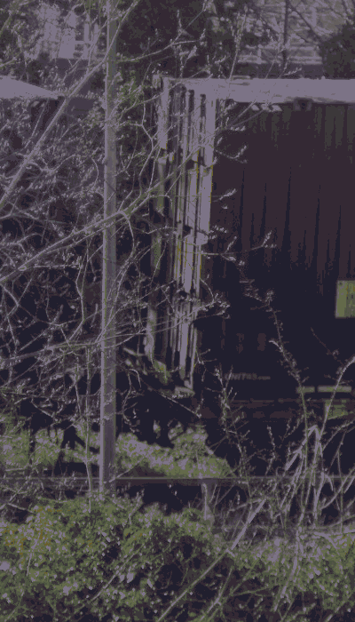 There should be a train video here :'(