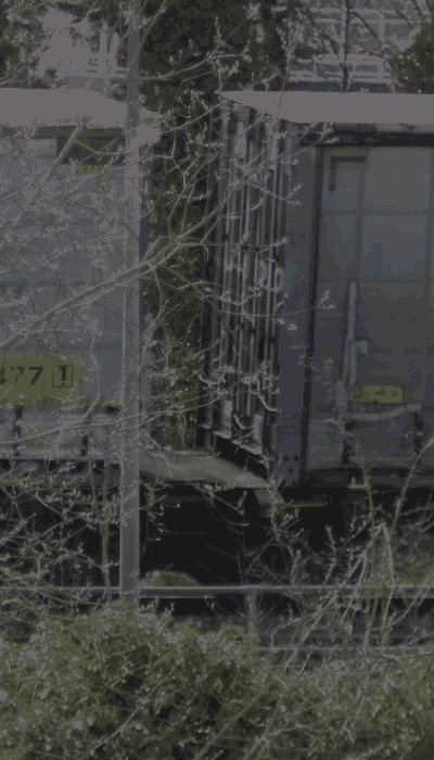 There should be a train video here :'(