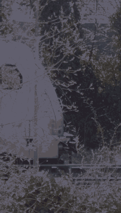 There should be a train video here :'(