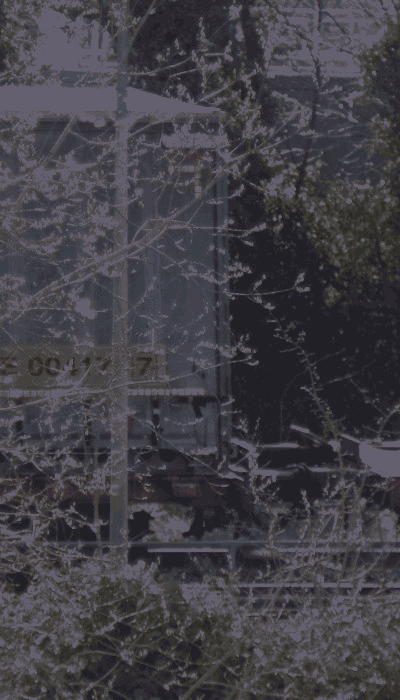 There should be a train video here :'(