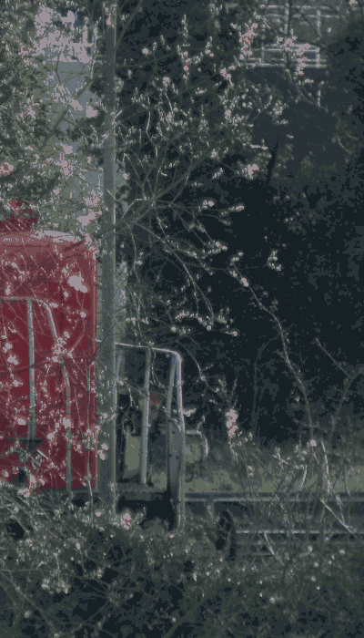 There should be a train video here :'(