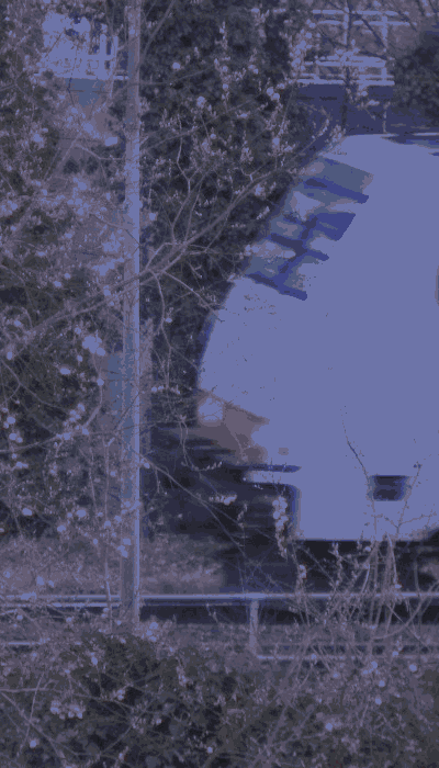 There should be a train video here :'(