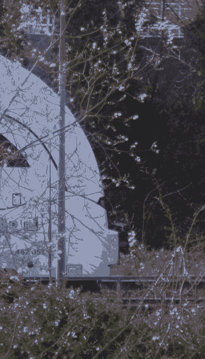 There should be a train video here :'(