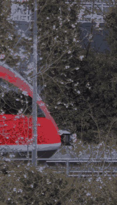 There should be a train video here :'(