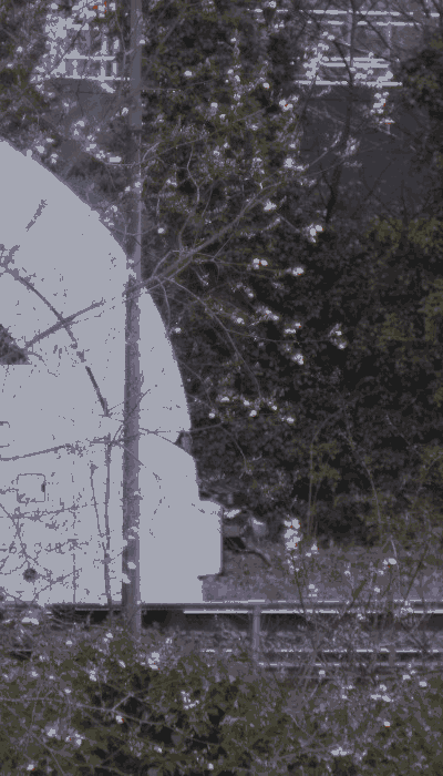 There should be a train video here :'(