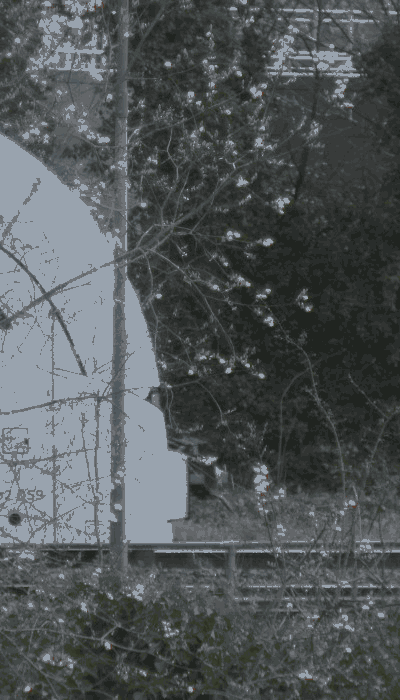 There should be a train video here :'(