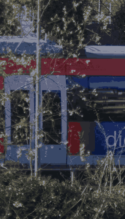 There should be a train video here :'(