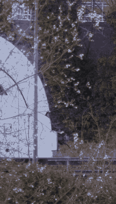 There should be a train video here :'(