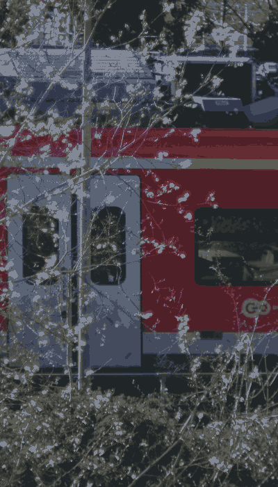 There should be a train video here :'(