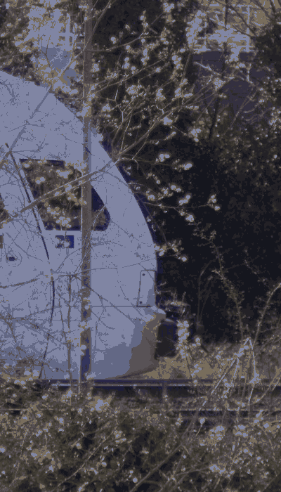 There should be a train video here :'(