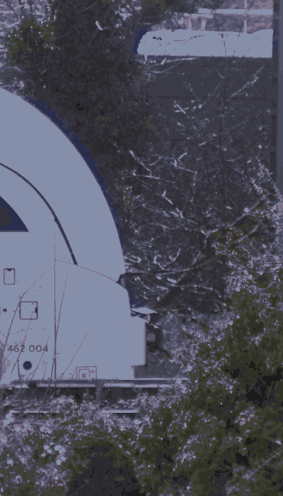 There should be a train video here :'(