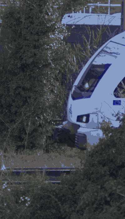 There should be a train video here :'(