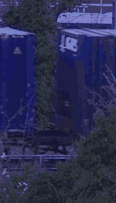 There should be a train video here :'(