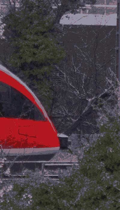 There should be a train video here :'(