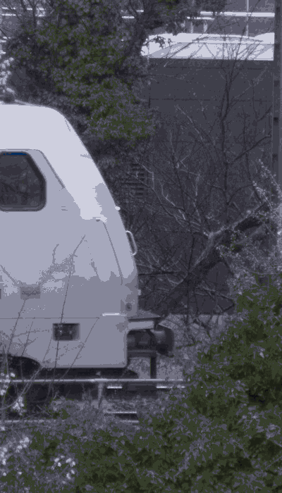 There should be a train video here :'(